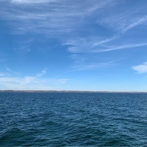 Meet your Posher, Sylvia